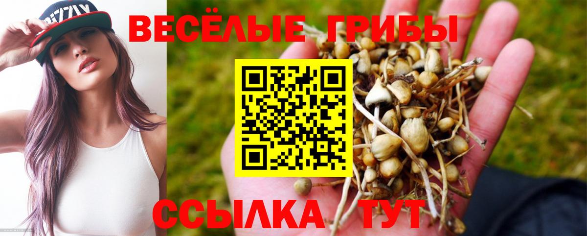 Галлюциногенные грибы ЛСД  как найти закладки  Радужный  Галлюциногенные грибы прущие грибы  Вход с VPN 